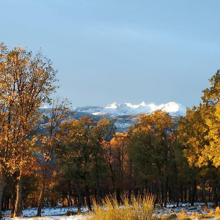 El Rondillo De Gredos Guest House Hoyos del Collado Екстериор снимка