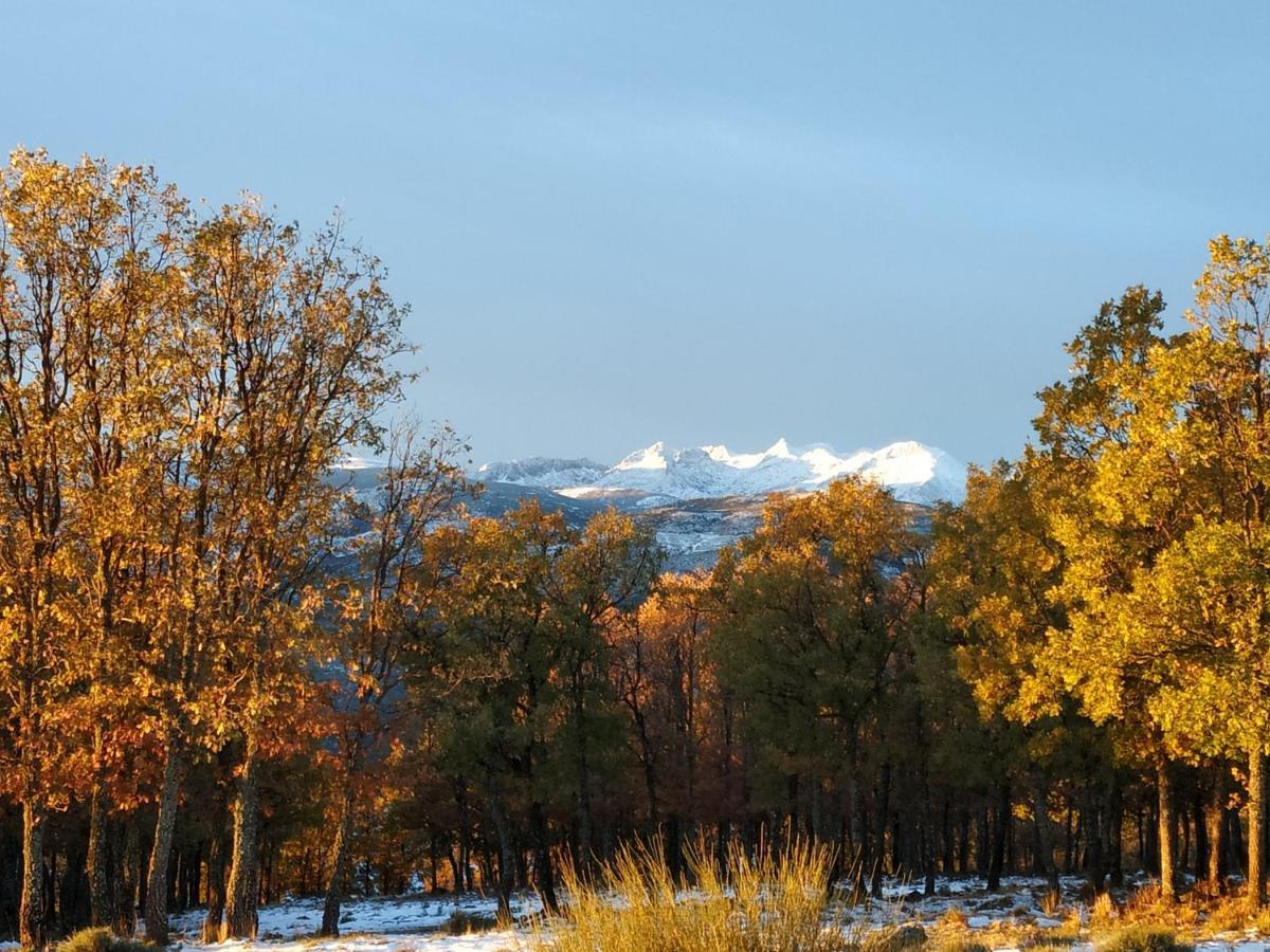 El Rondillo De Gredos Guest House Hoyos del Collado Екстериор снимка